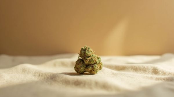 Trouver l'amnesia kush parfaite pour une expérience relaxante
